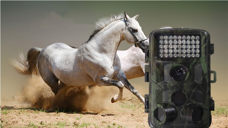 Wild hunting camera - Image 7
